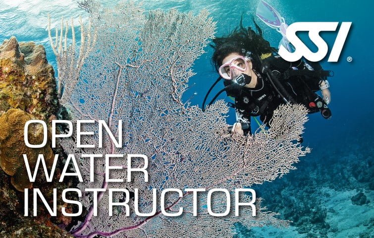 open water instructor ssi