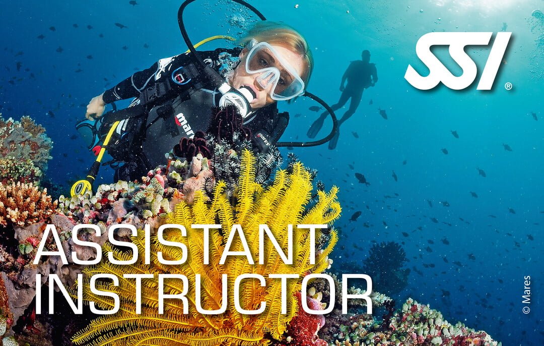 Curso Assistant Instructor SSI