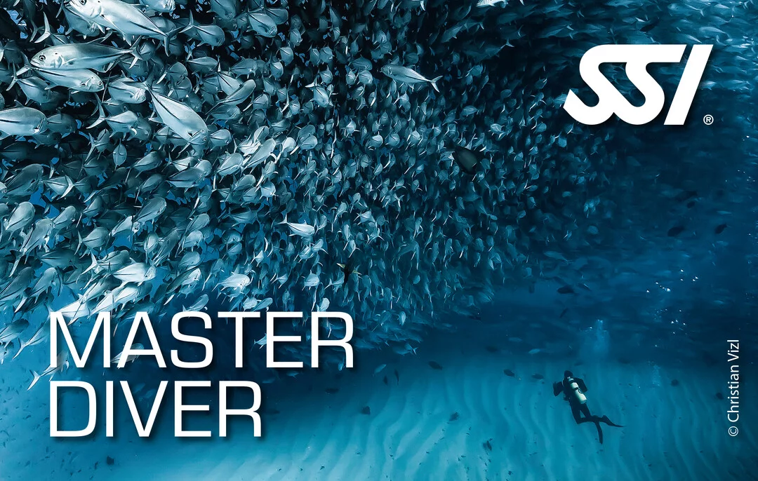Presentation Master Diver