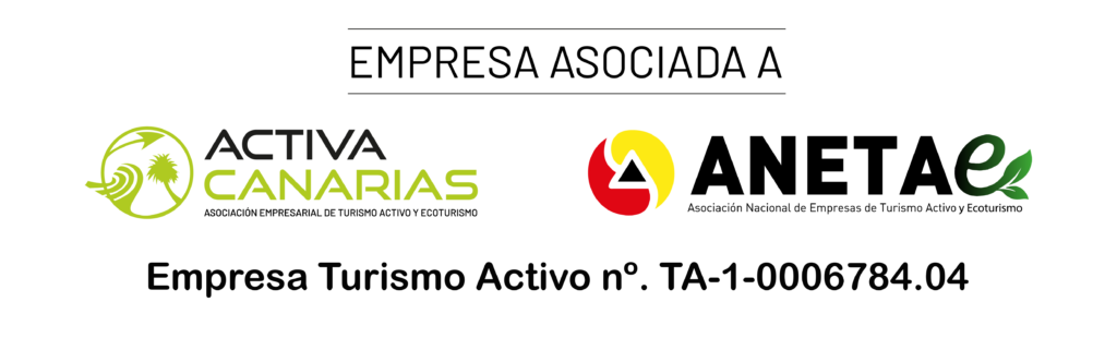 Activa Canarias - Aneta