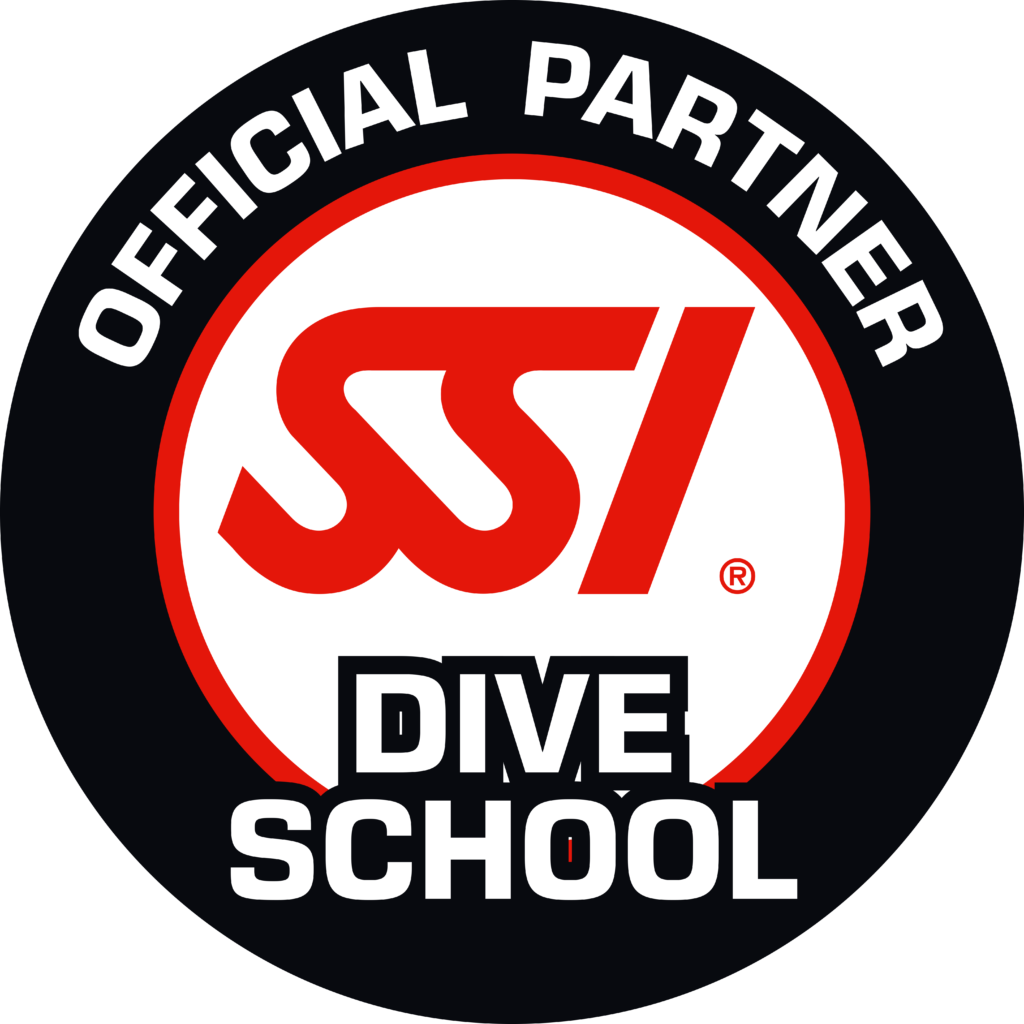 Dive School