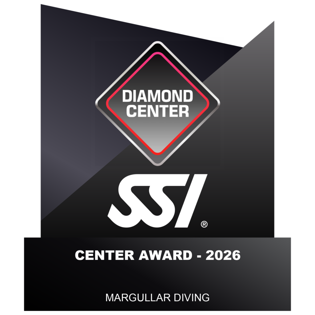 diamond SSI 2026