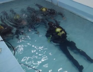 centro-de-buceo-margullar H centro-de-buceo-margullar H